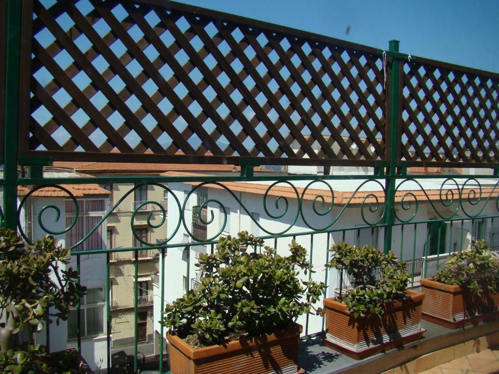 Sorrento Inn Guesthouse Maison d'hôtes Sorrente