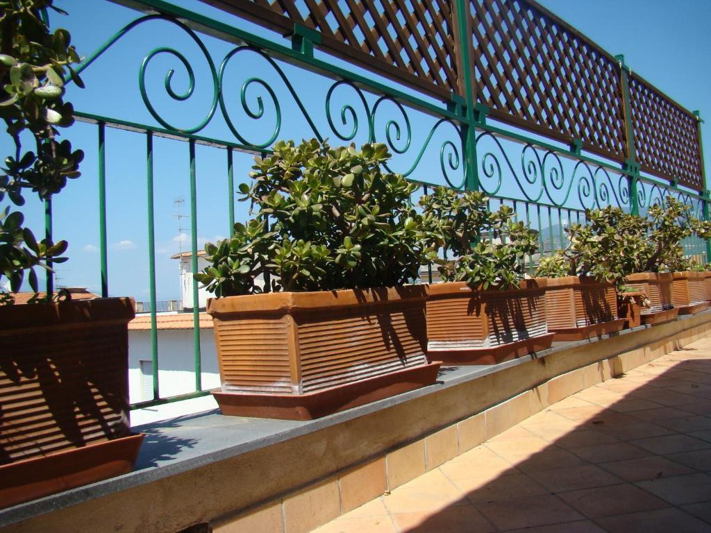 Sorrento Inn Guesthouse * Sorrente